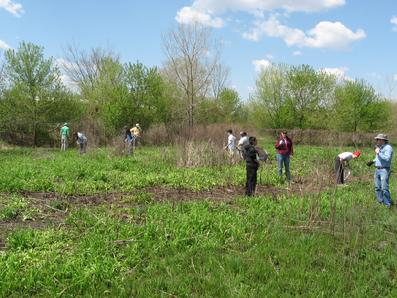 In April and May 2009 Eagle Scout candidate Mike Aldas lead Boy Scout Troop 22 and his volunteers in restoring the natural plants at the St Stephen cemetery and prairie along the GWT approx. 1/2 mile west of Schmale Road in DuPage County.